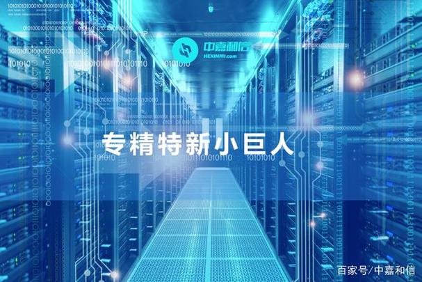 中嘉和信榮膺北京市專精特新“小巨人”企業，賦能北京企業數字化轉型